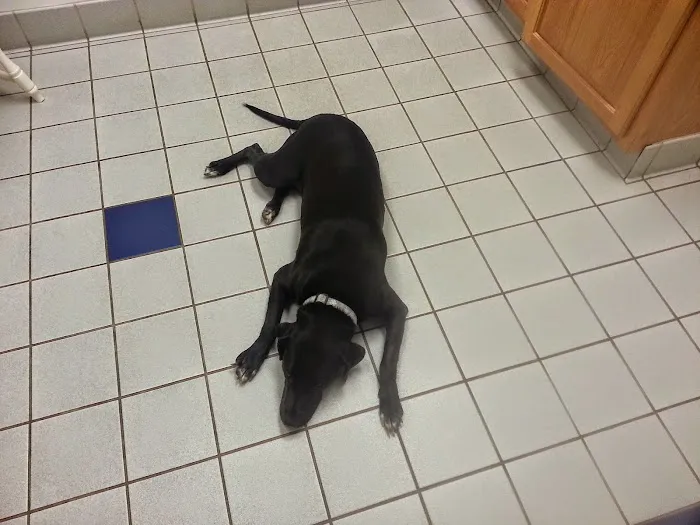 Sugarloaf Animal Hospital Picture 5