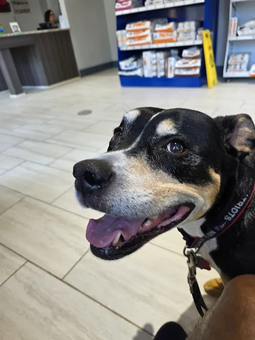 Sugarloaf Animal Hospital Picture 3
