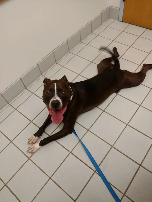 Sugarloaf Animal Hospital Picture 4