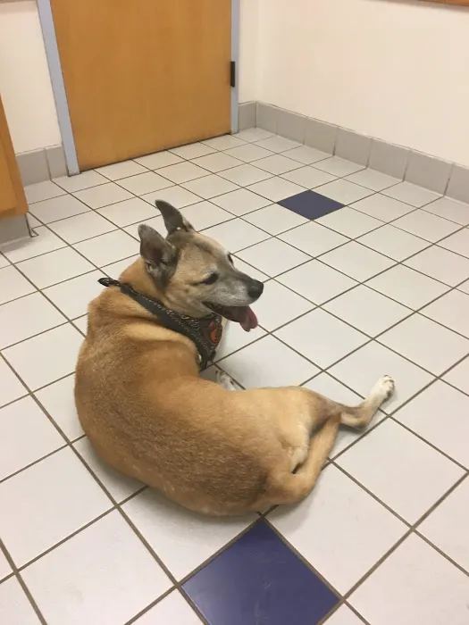 Sugarloaf Animal Hospital Picture 8