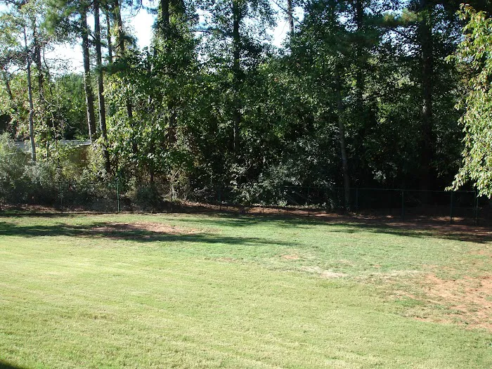 Brookwood Animal Hospital Picture 6