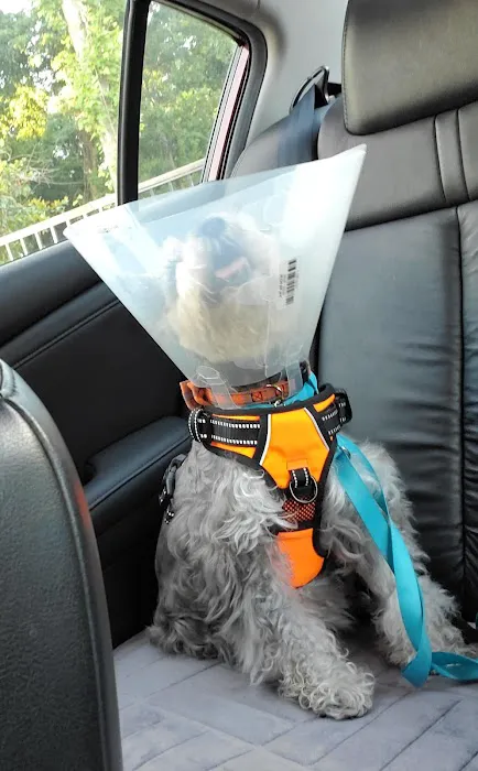 Banfield Pet Hospital Picture 6