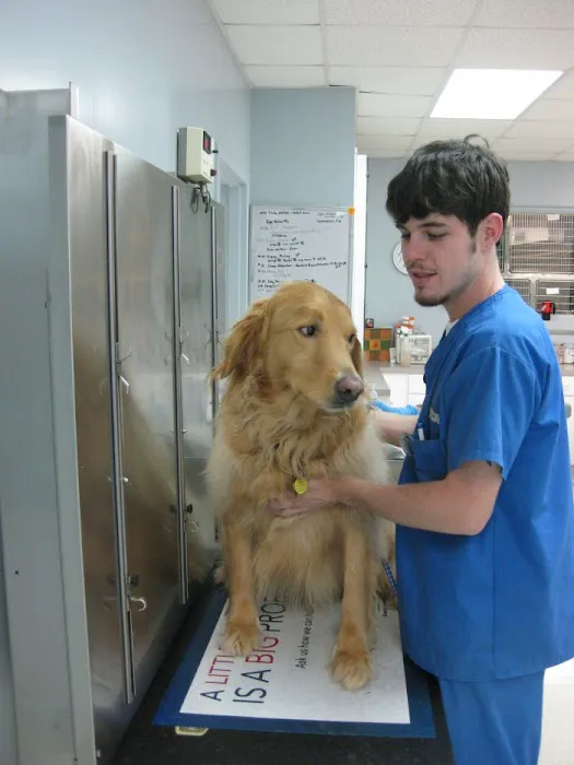 VCA Peachtree Animal Hospital Picture 2