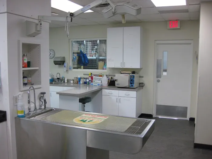 VCA Peachtree Animal Hospital Picture 6