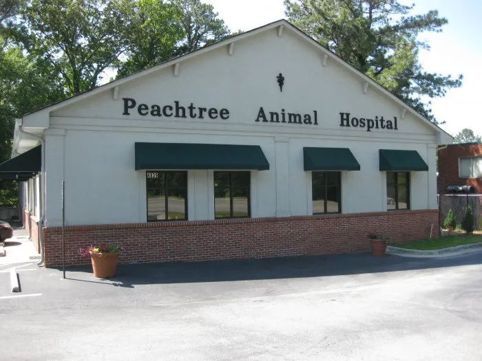VCA Peachtree Animal Hospital Picture 4