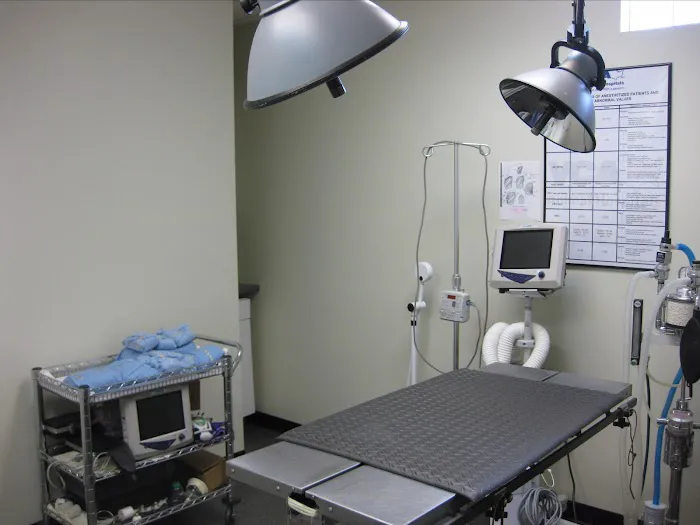 VCA Peachtree Animal Hospital Picture 9