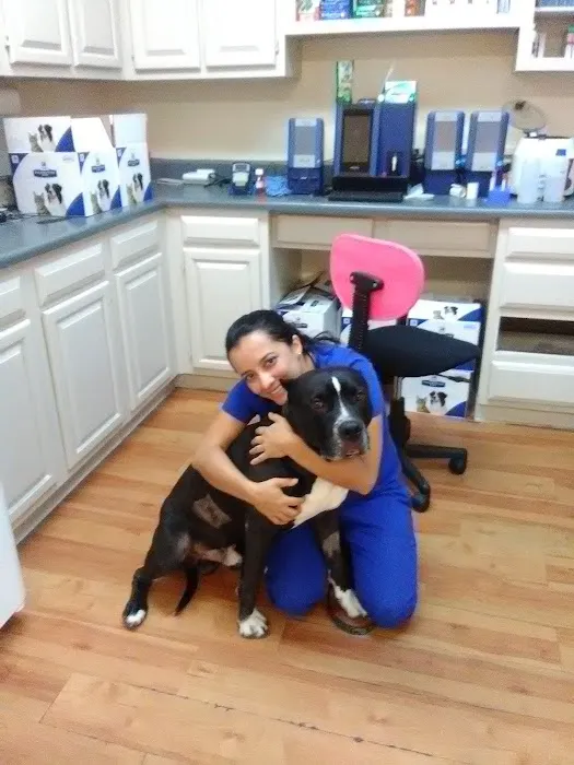 North Hills Animal Hospital Picture 10