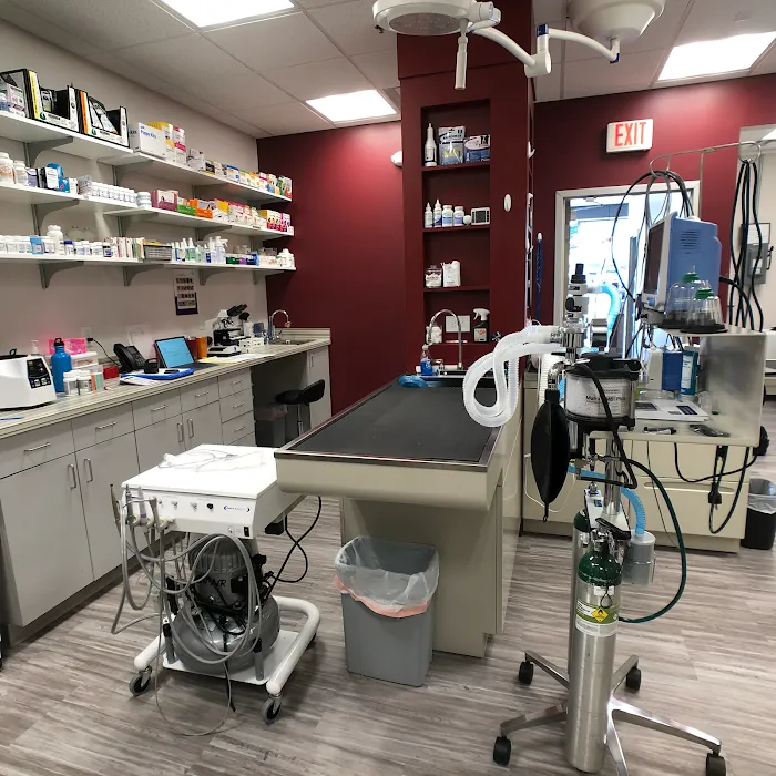 Briarlake Animal Hospital Picture 8
