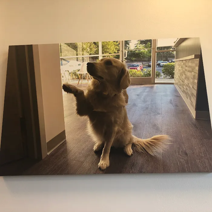 Briarlake Animal Hospital Picture 9