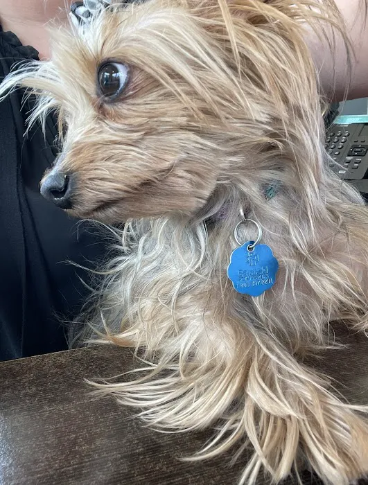 Brookhaven Animal Hospital Picture 9