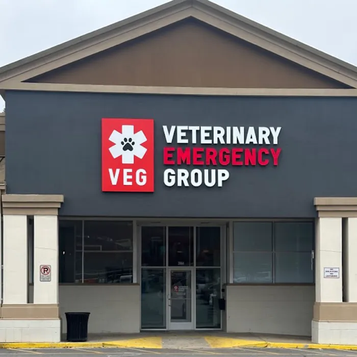 Veterinary Emergency Group Picture 10