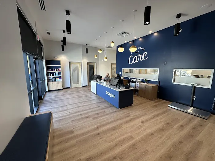 CityVet | Northlake Veterinary Clinic Picture 5