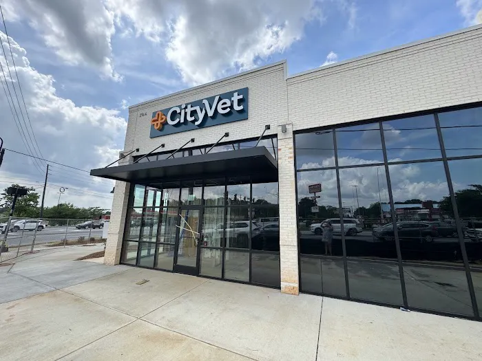 CityVet | Northlake Veterinary Clinic Picture 10