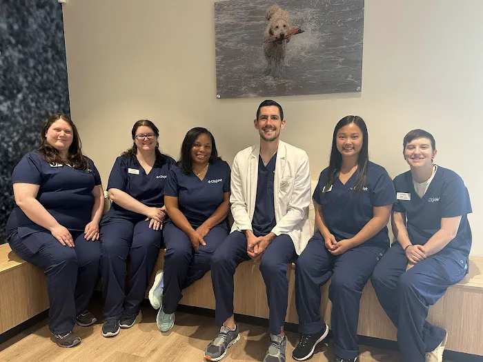 CityVet | Northlake Veterinary Clinic Picture 9
