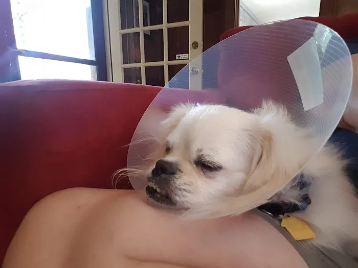 Tucker Animal Hospital Picture 1