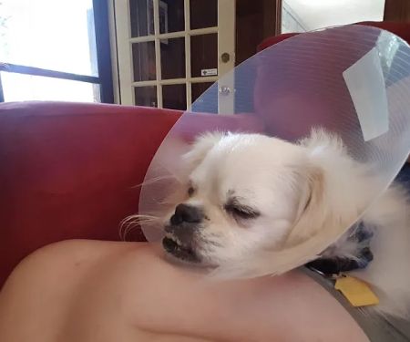 Tucker Animal Hospital