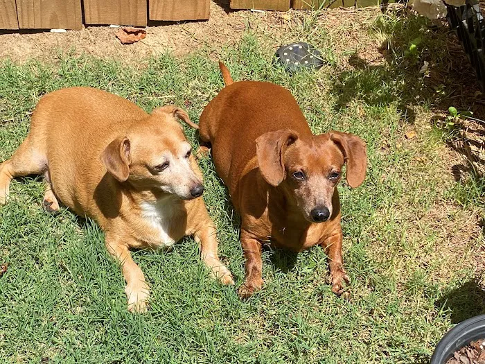 Tucker Animal Hospital Picture 7