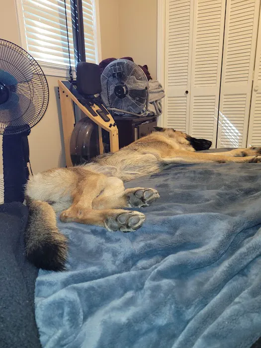 Tucker Animal Hospital Picture 9