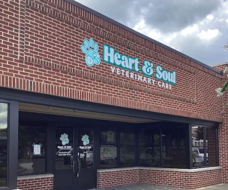 Heart & Soul Veterinary Care