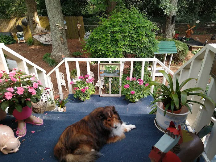 Banfield Pet Hospital Picture 5