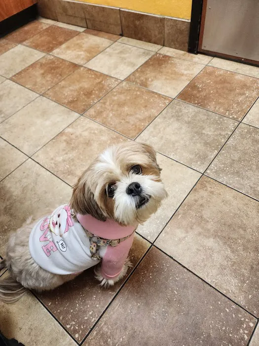 Banfield Pet Hospital Picture 1