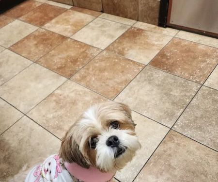 Banfield Pet Hospital
