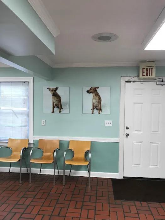 The People's Pets Picture 1