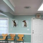 The People's Pets