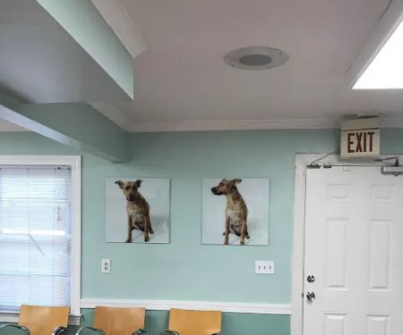 The People's Pets