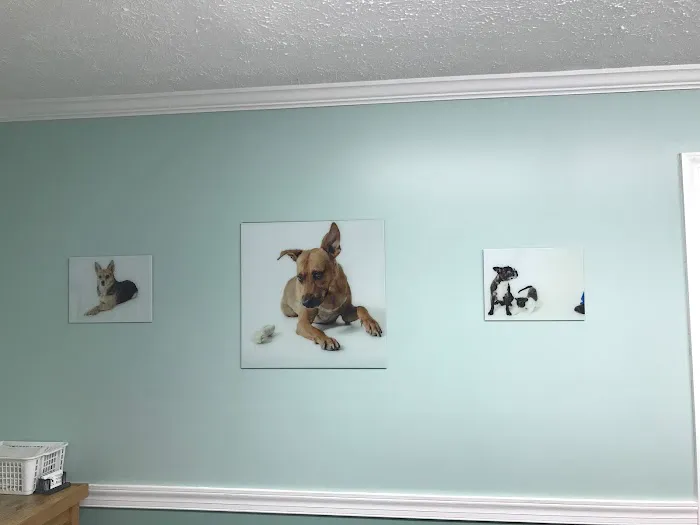The People's Pets Picture 3