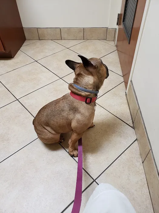 Dekalb Animal Hospital Picture 3