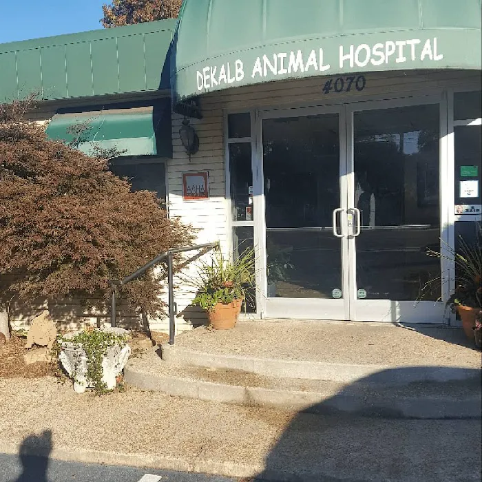 Dekalb Animal Hospital Picture 5