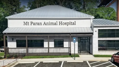 Mt Paran Animal Hospital Picture 2