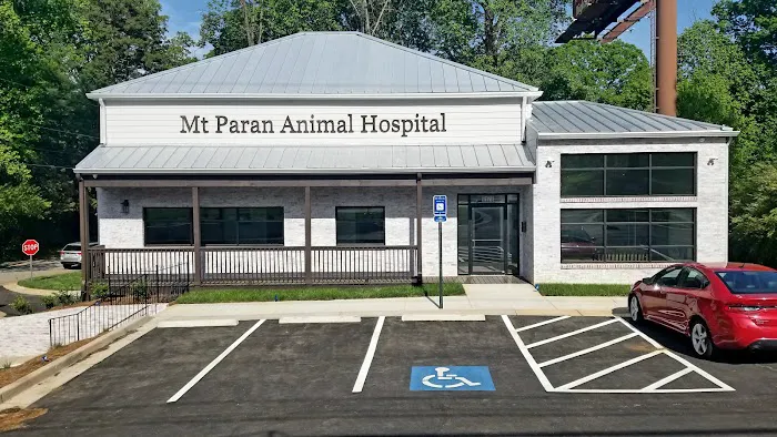 Mt Paran Animal Hospital Picture 5
