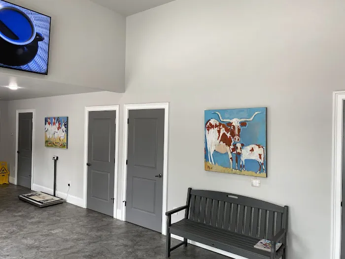 Mt Paran Animal Hospital Picture 7