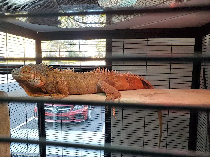 Mt Paran Animal Hospital Picture 10