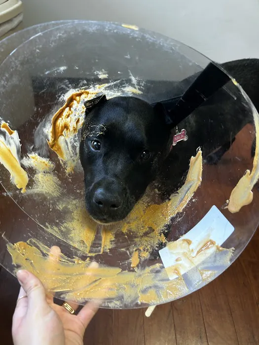 Belle Isle Animal Hospital Picture 4