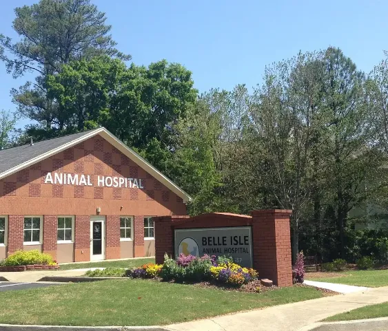 Belle Isle Animal Hospital Picture 10