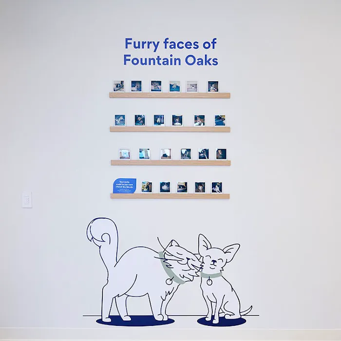 Chewy Vet Care Fountain Oaks Picture 5
