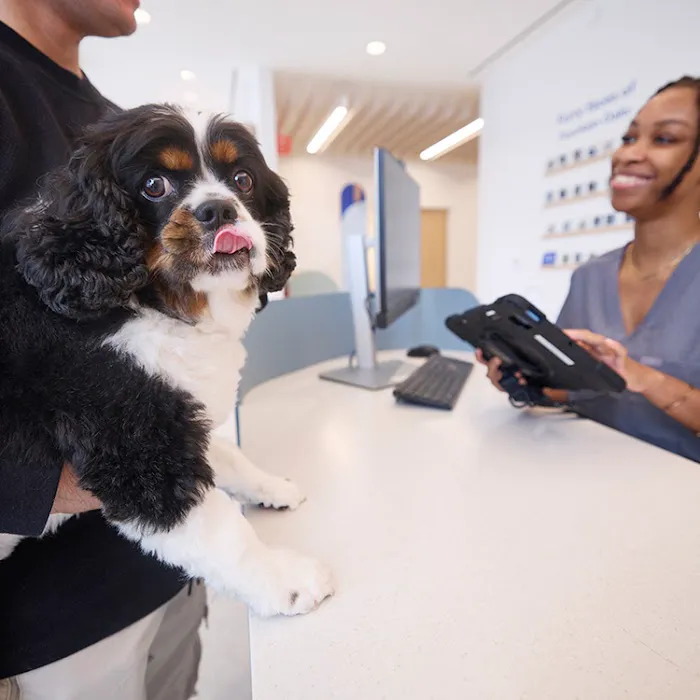 Chewy Vet Care Fountain Oaks Picture 9