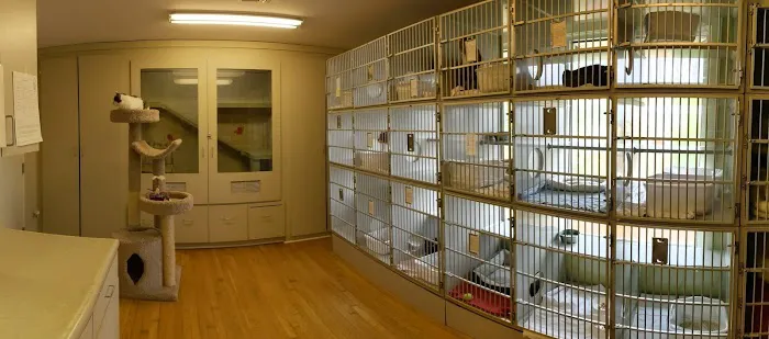 The Cat Doctor Picture 10