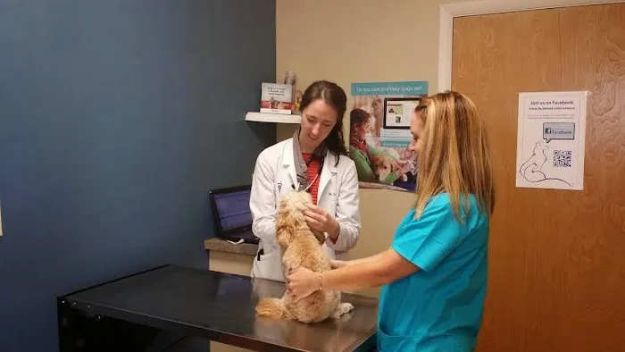 Wieuca Animal Clinic Picture 4