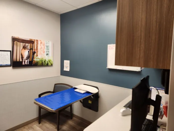 VCA Lilburn Animal Hospital Picture 5