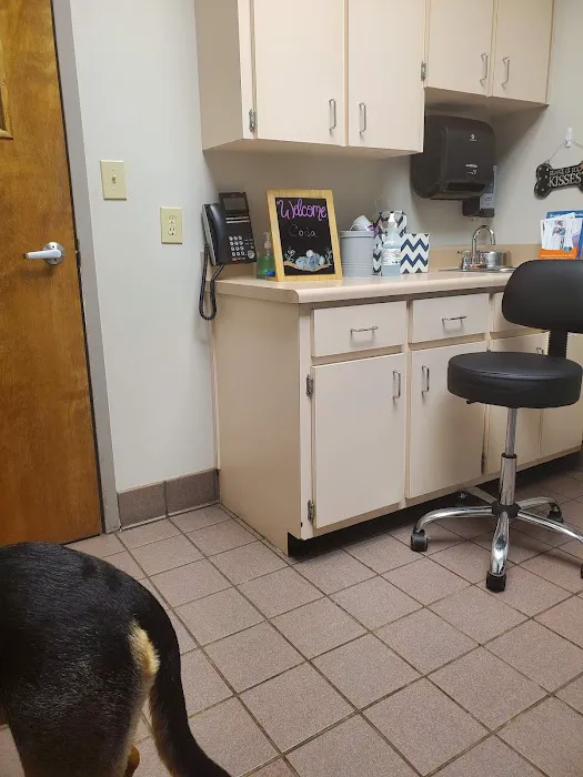 VCA Lilburn Animal Hospital Picture 7
