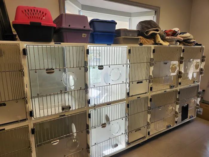 VCA Lilburn Animal Hospital Picture 10