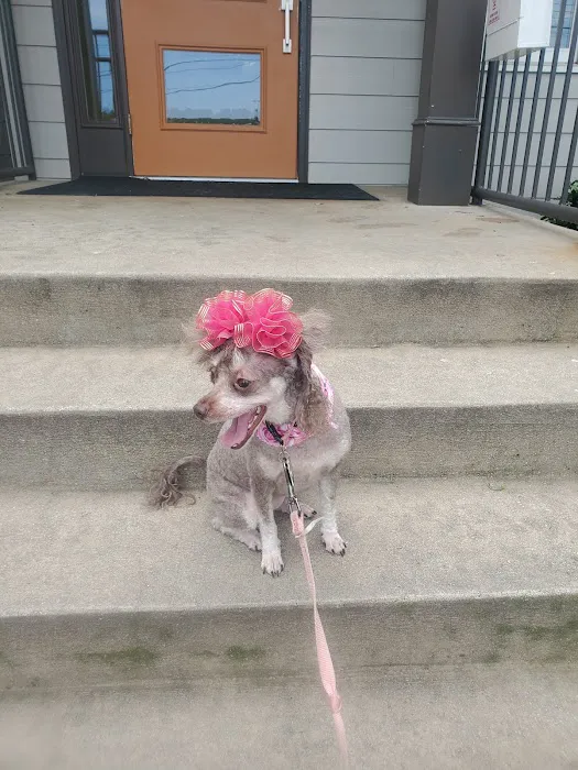 Abbott Animal Hospital Picture 5