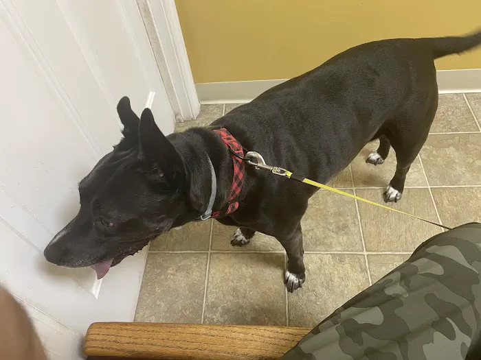 Killian Hill Animal Hospital Picture 3