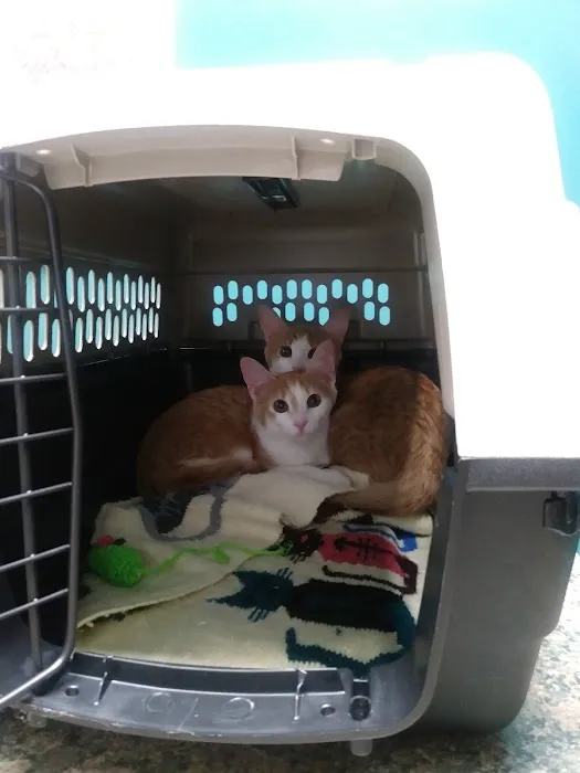 Killian Hill Animal Hospital Picture 8