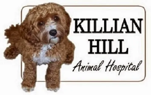 Killian Hill Animal Hospital Picture 9