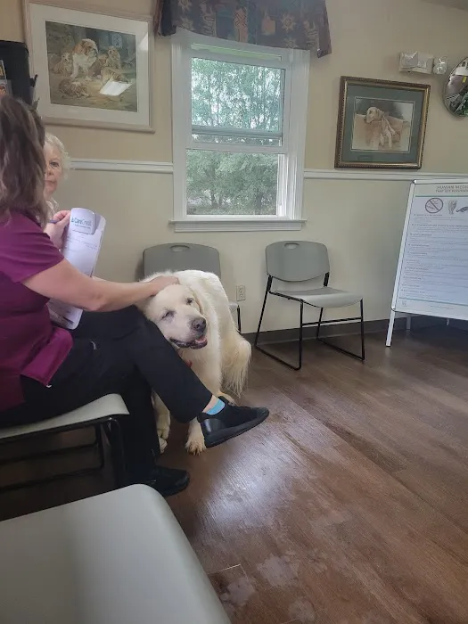 Mountain Park Animal Hospital: Nancy J. Buchinski, DVM Picture 2